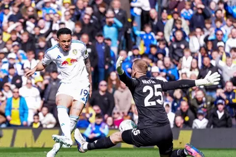 ثلاثية ليدز تقرب وولفرهامبتون من الهبوط بالدوري الإنجليزي